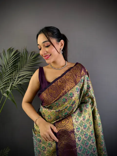 Multicolour Dharmavaram Silk Saree