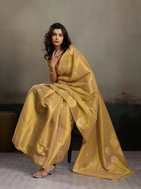Golden Beige Tissue Silk Saree