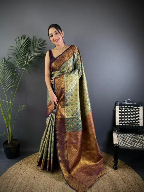 Multicolour Dharmavaram Silk Saree