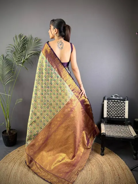 Multicolour Dharmavaram Silk Saree