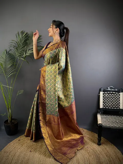 Multicolour Dharmavaram Silk Saree