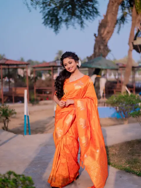 Orange Banarasi Silk Blend Saree