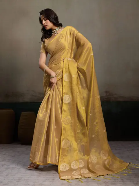 Golden Beige Tissue Silk Saree