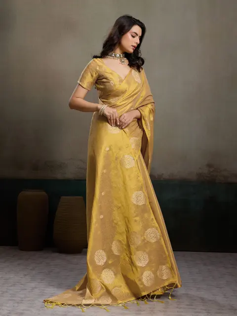 Golden Beige Tissue Silk Saree
