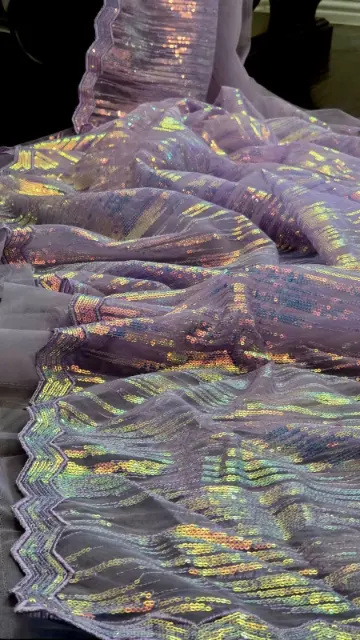 Net Saree with All-Over Mini Sequin Work